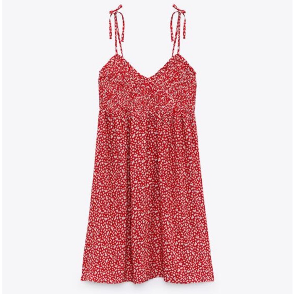 Zara Floral Print Mini Dress